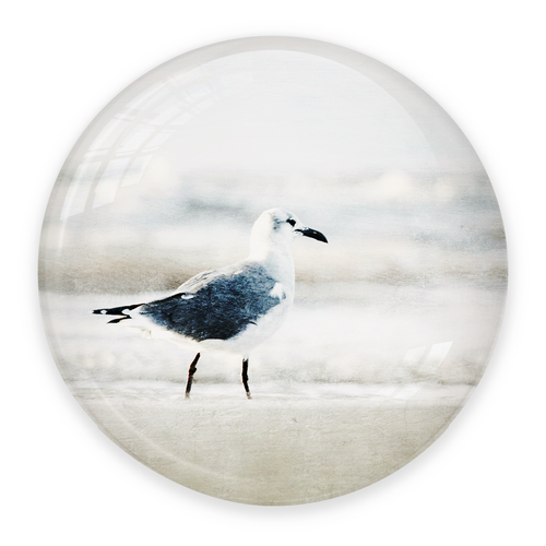 Seagull on the Beach – Coastal Crystal Dome Paperweight