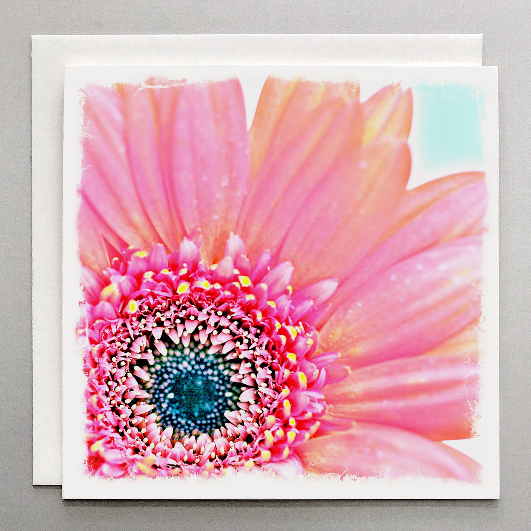 Bright Pink Daisy Card