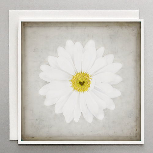 Daisy Floral Card: 'Nature's Bliss'