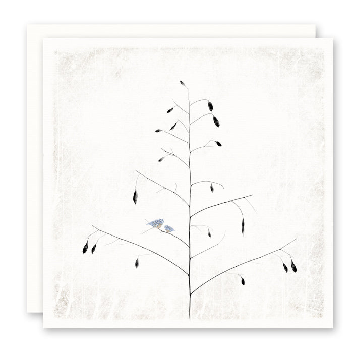 Bluebirds in Tree Print on Card - Sympathy, Thinking of You, Encouragement Card